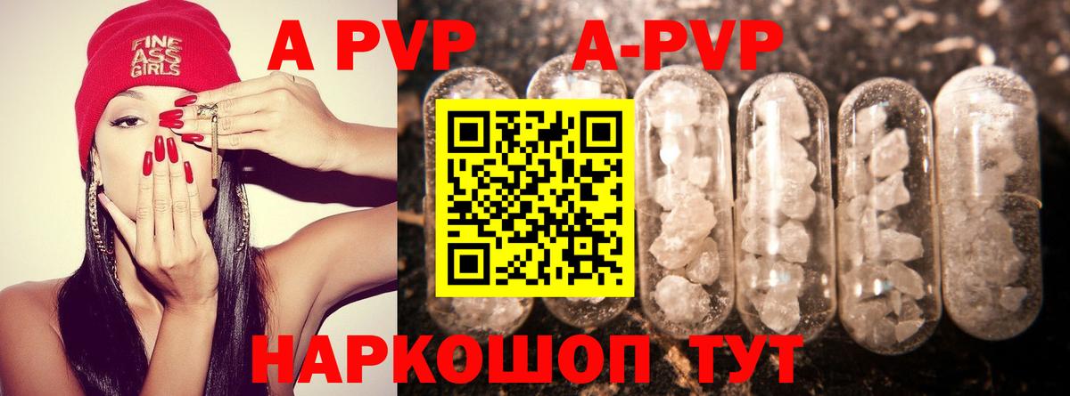 Alfa_PVP СК КРИС Гатчина