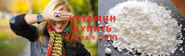 индика Бронницы