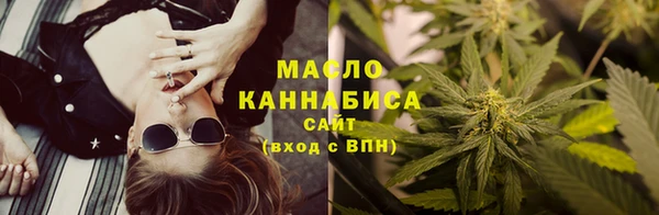 индика Бронницы