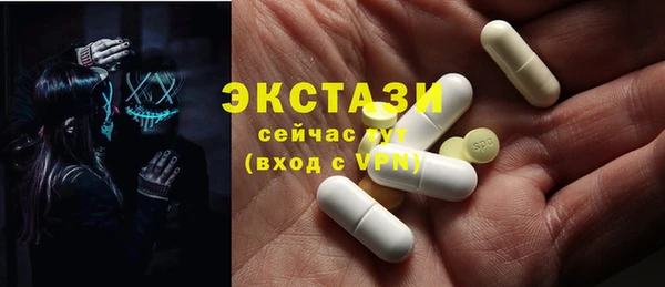 индика Бронницы
