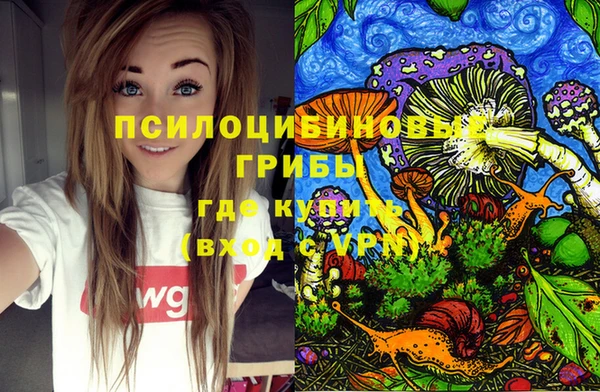 трава Бородино