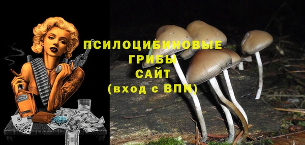 спиды Апатиты