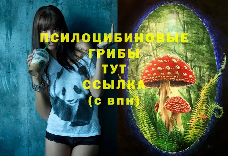 МЕГА вход  даркнет формула  Галлюциногенные грибы Cubensis  как найти закладки  Гатчина 