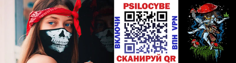 мега зеркало  Гатчина  Псилоцибиновые грибы Cubensis 
