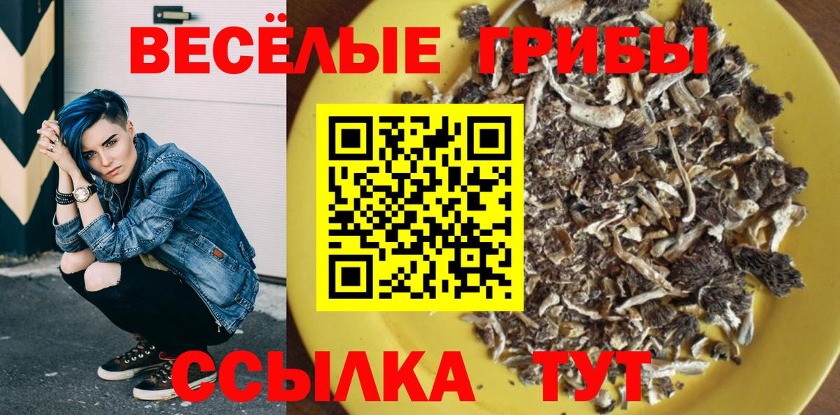 Галлюциногенные грибы ЛСД  Вход с VPN  Гатчина 