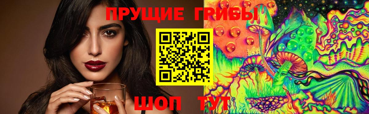 Галлюциногенные грибы MAGIC MUSHROOMS Гатчина