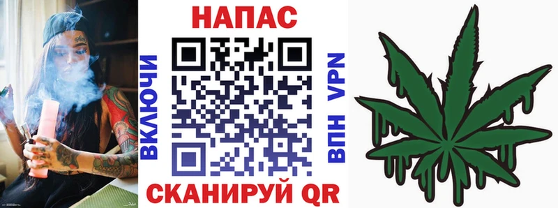 Конопля план  Гатчина 